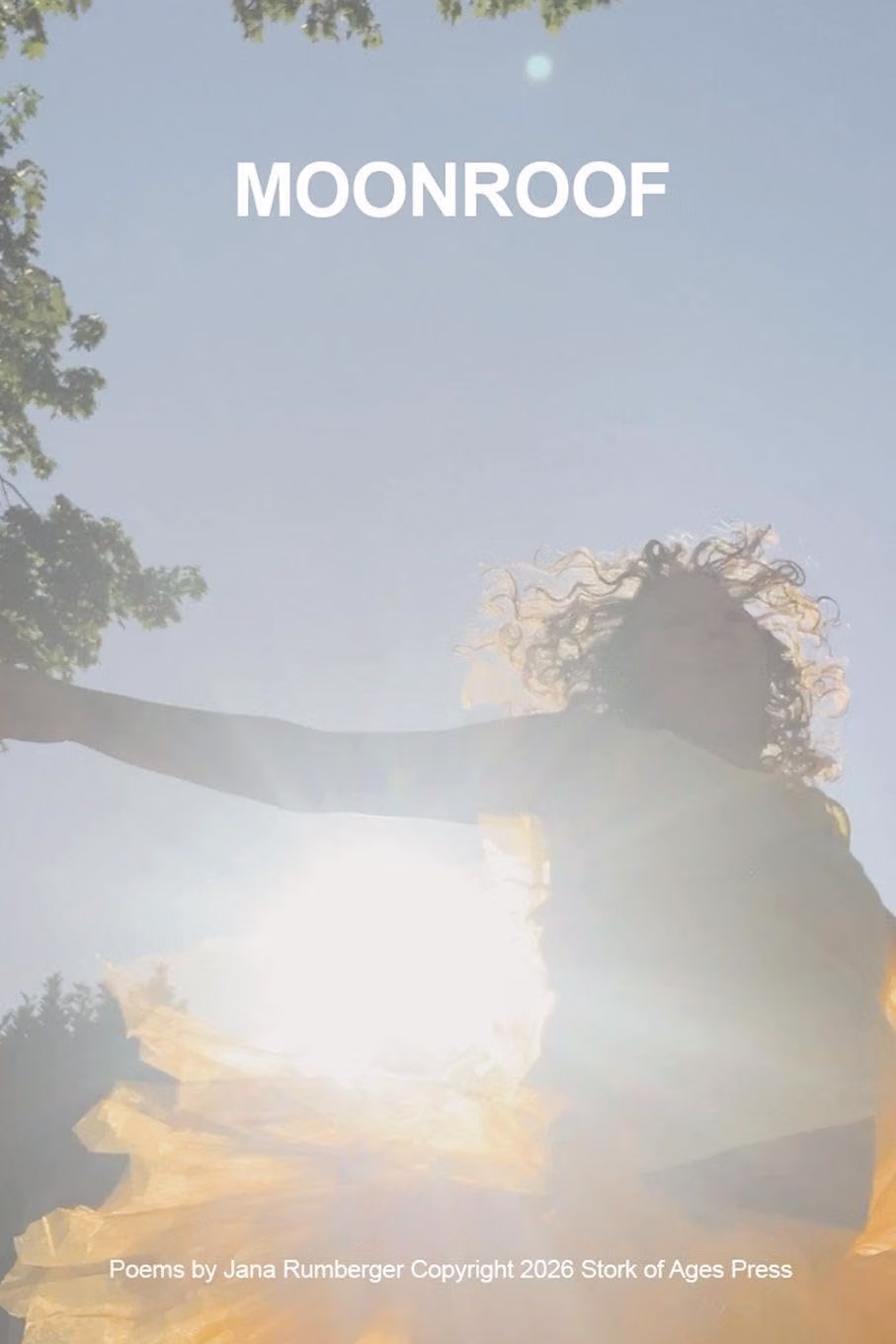 Cover of Moonroof